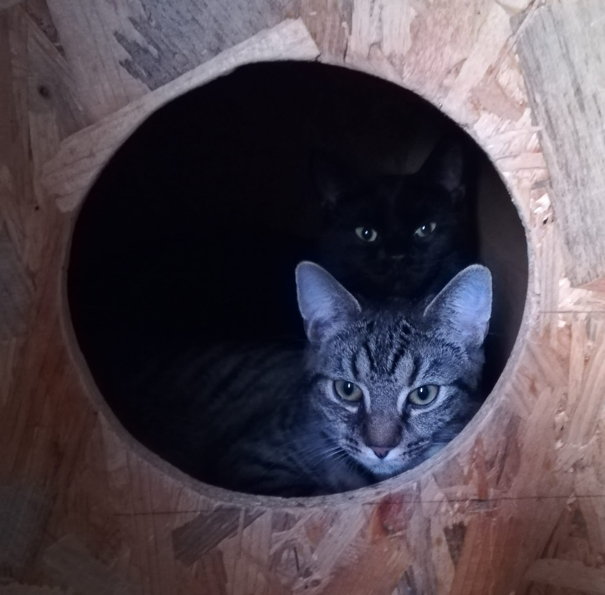 Rieke und Smilla 💕