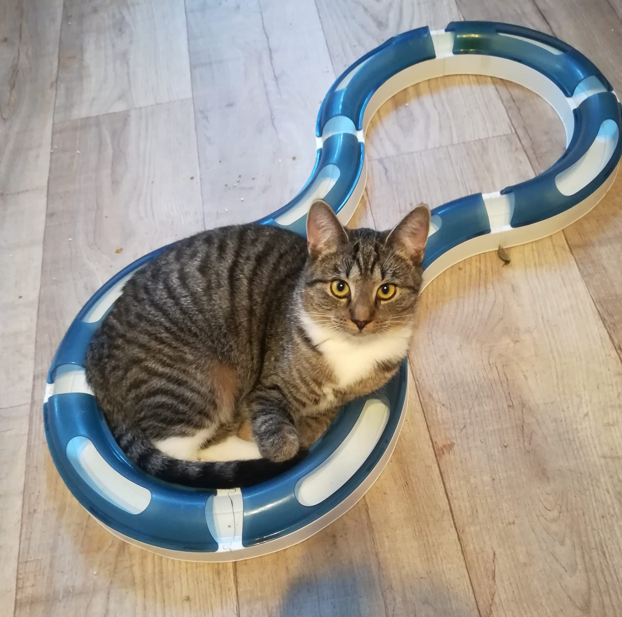 Happy Birthday Liam, Leni und Lara