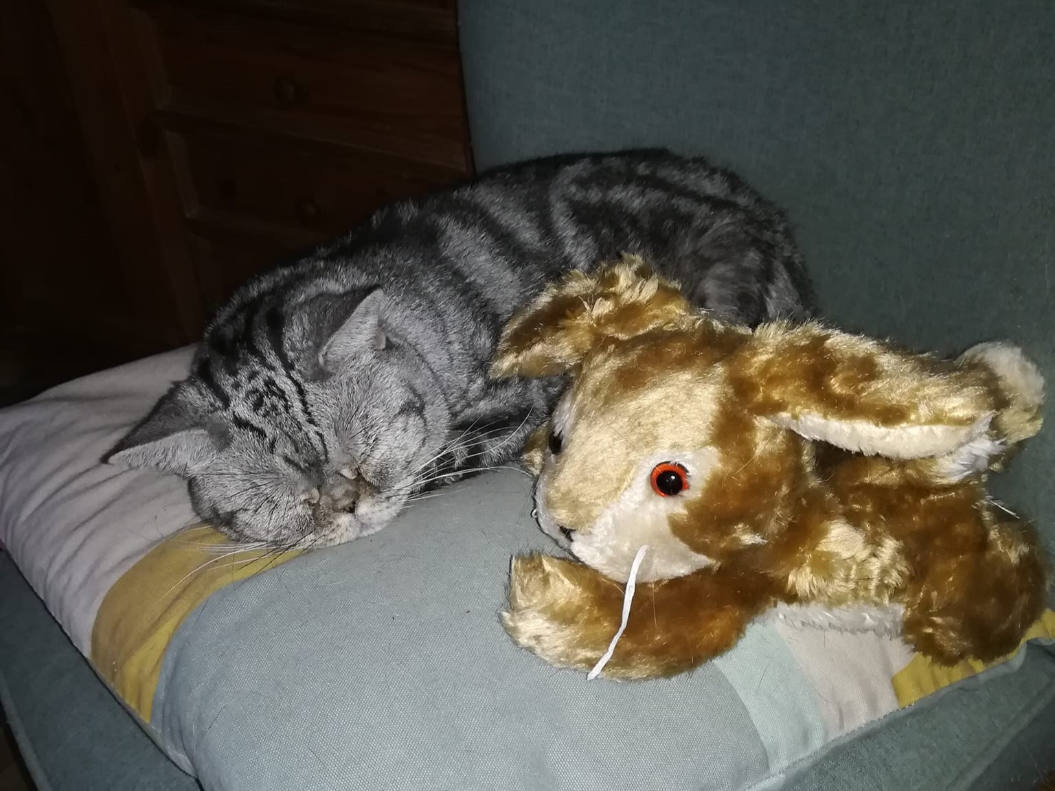 Ist denn schon Ostern?