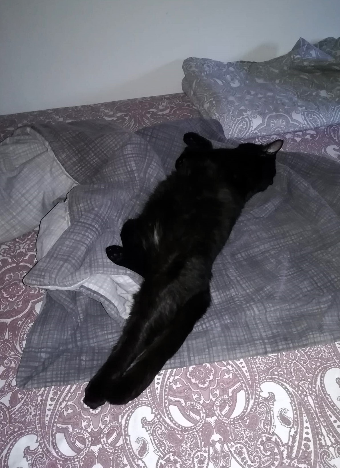 Wer braucht schon Wärmflaschen?