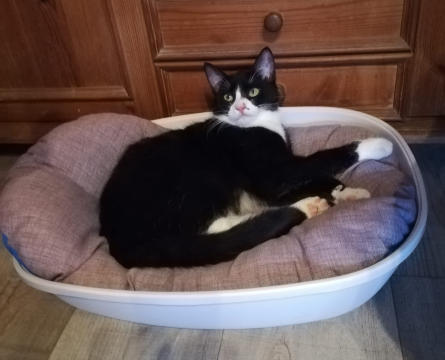 Krümelchen und Lotti