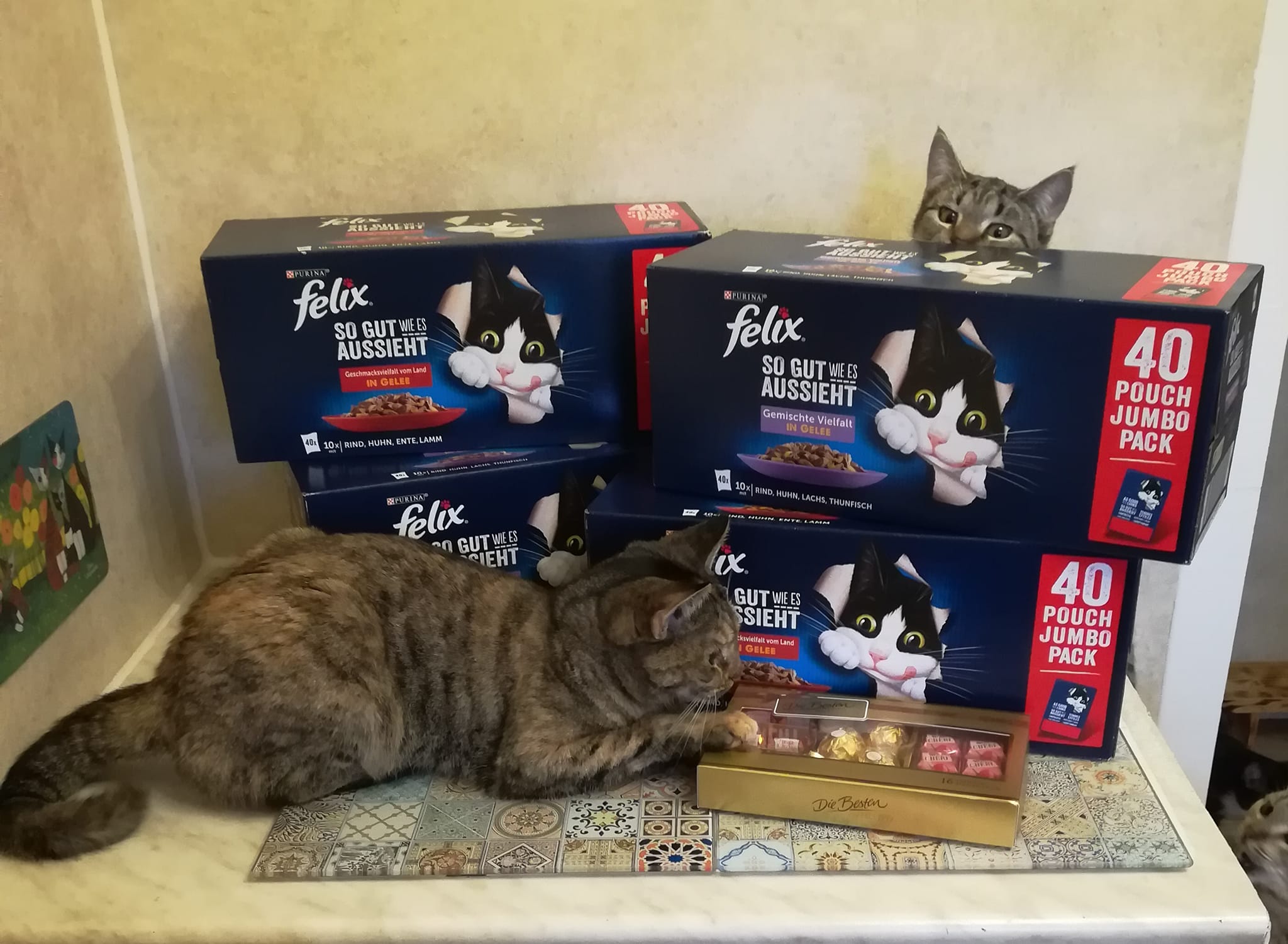 Tolle Unterstützung