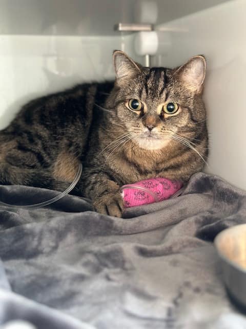 Daumen drücken für Mo