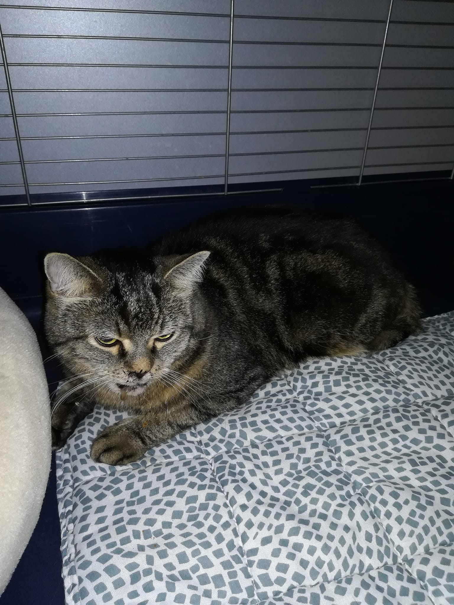 Neuigkeiten vom Unglücksraben