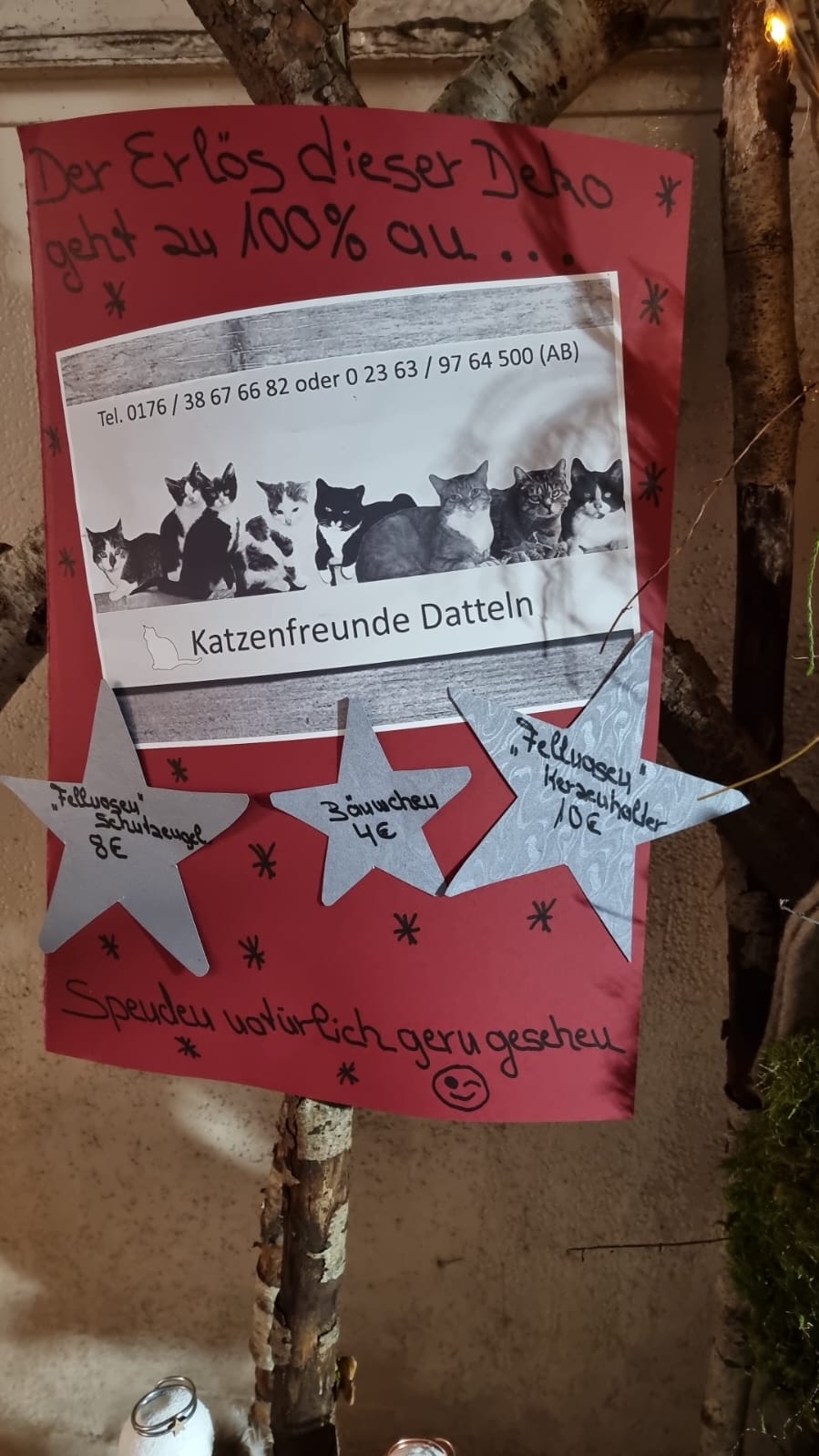 Geld für unsere Schnurrnasen