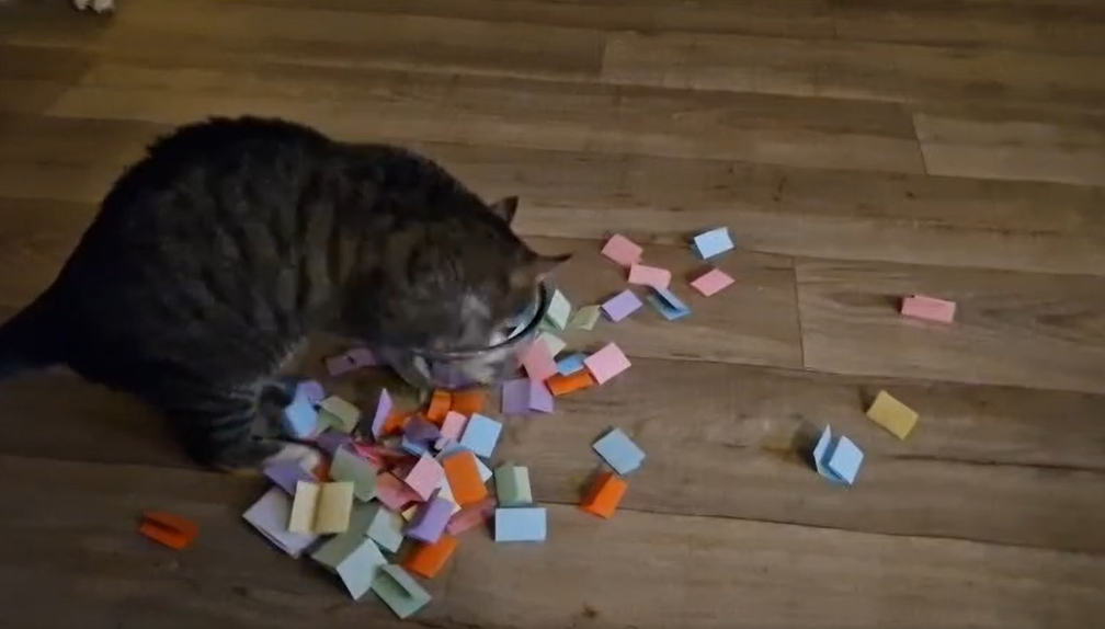 Auslosung der Gewinner