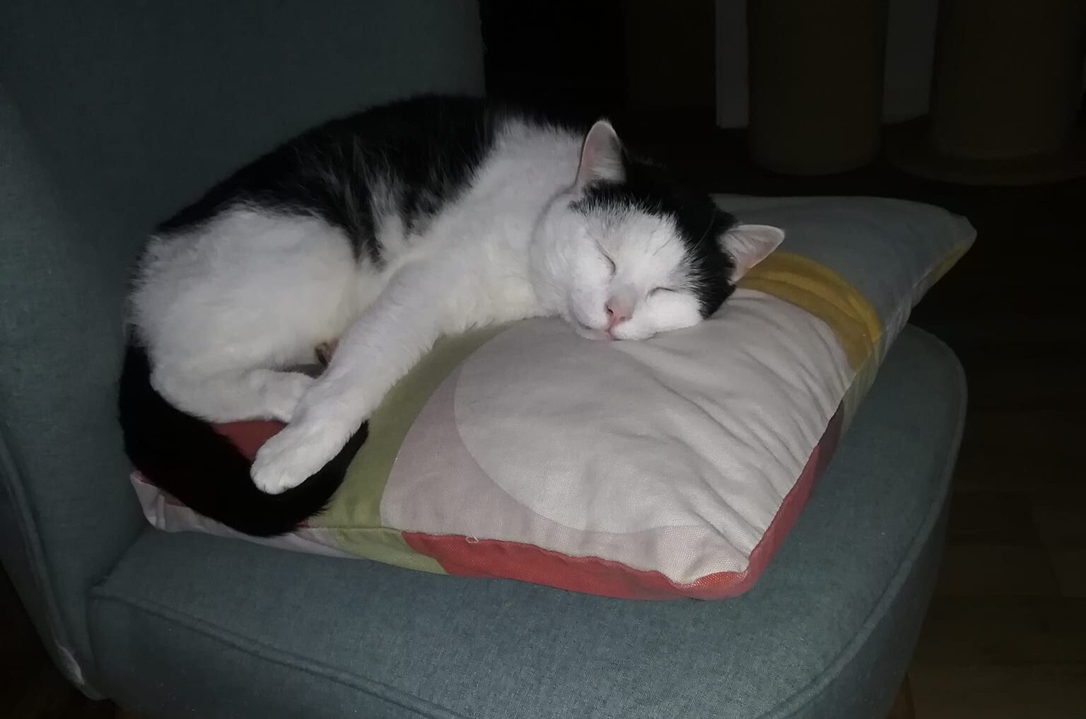 Wanja hat eine Bitte