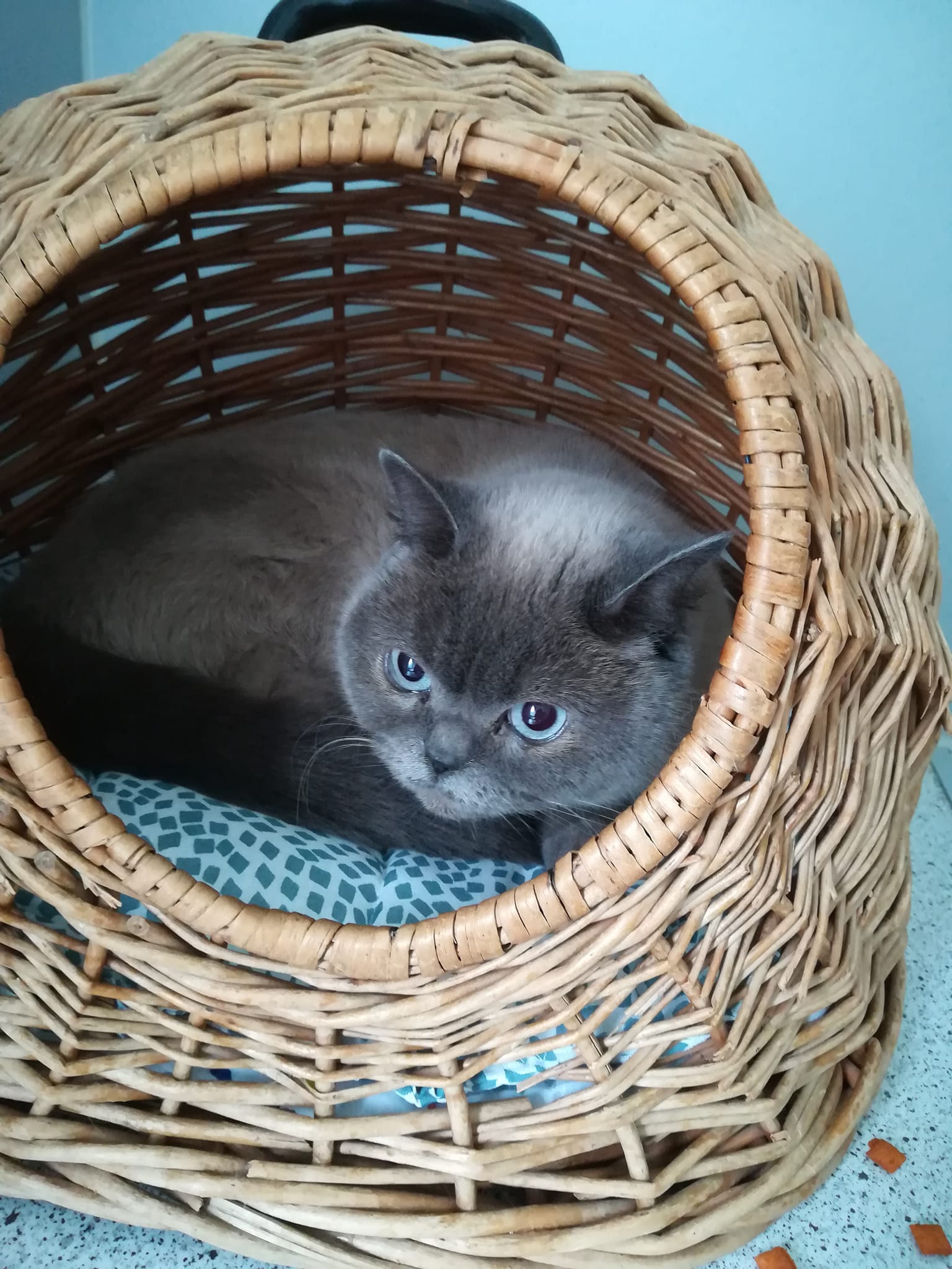 Wer vermisst oder erkennt mich?