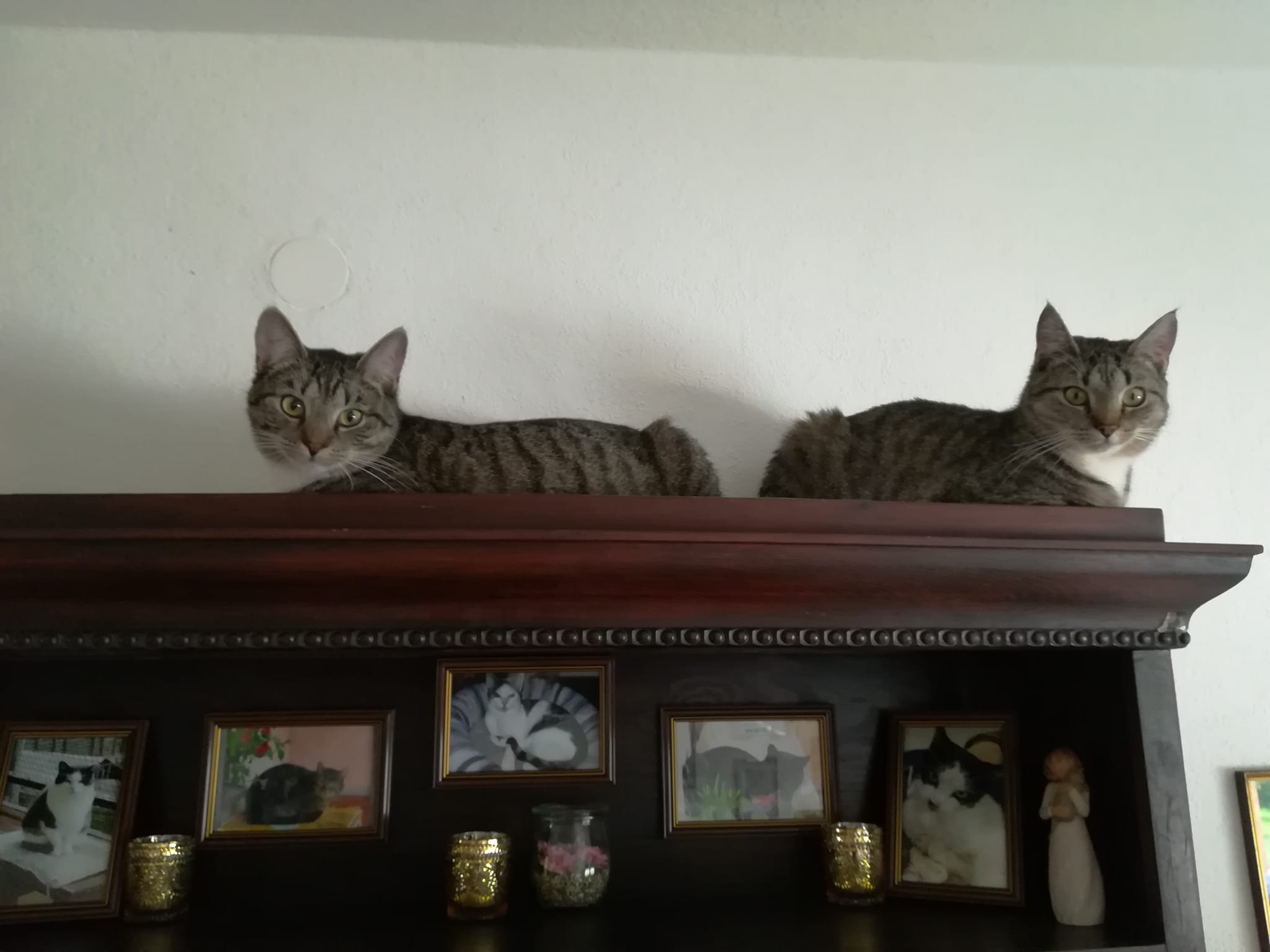 Schöner Wochenstart