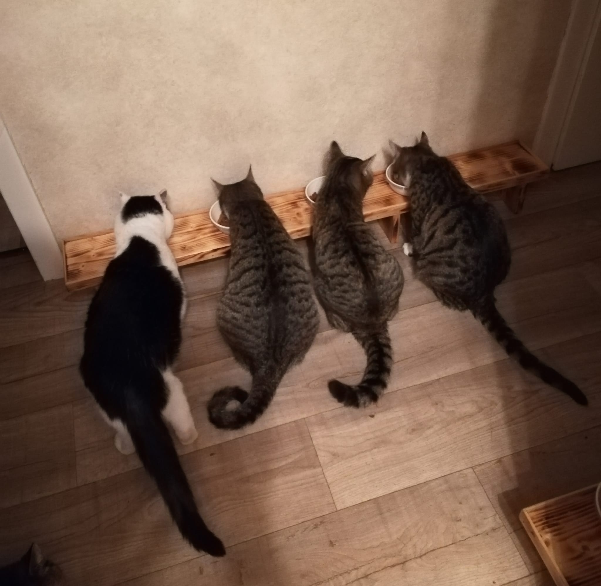 Entspannter Ostermontag