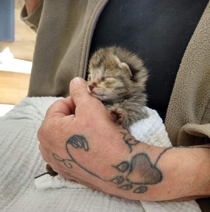 Anstehender Geburtstag