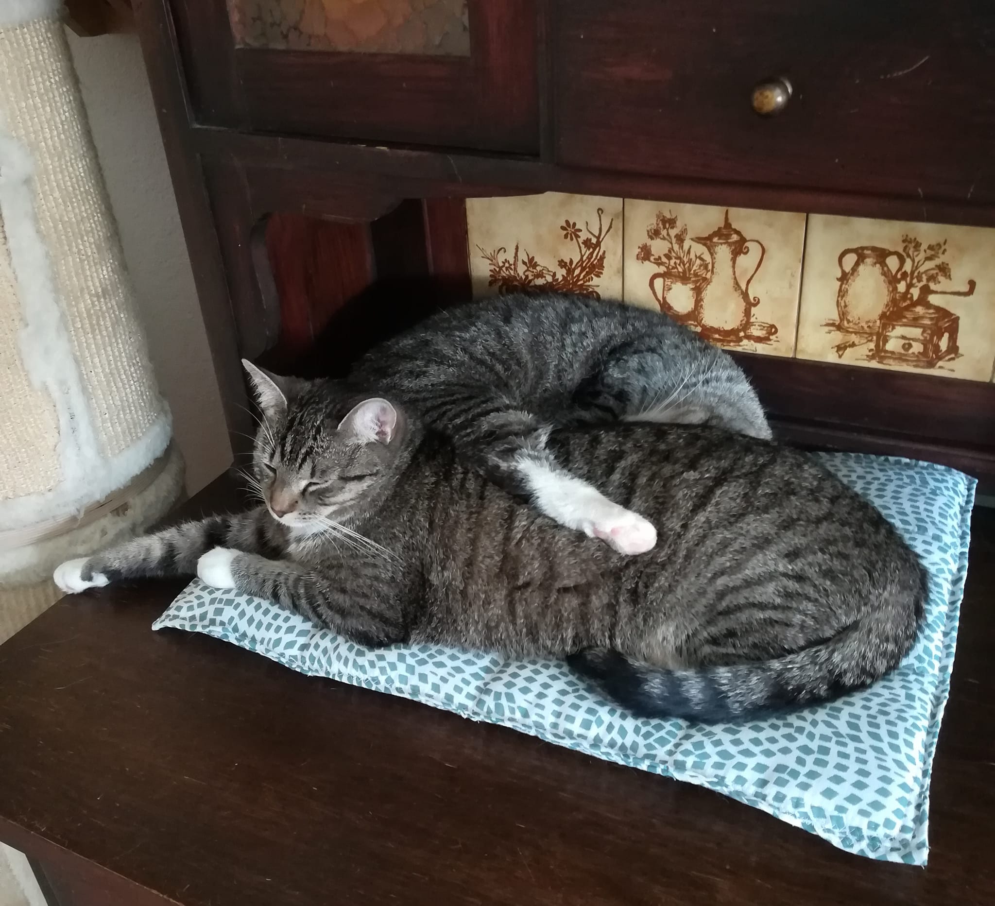 Lara und Leni im Land der Träume