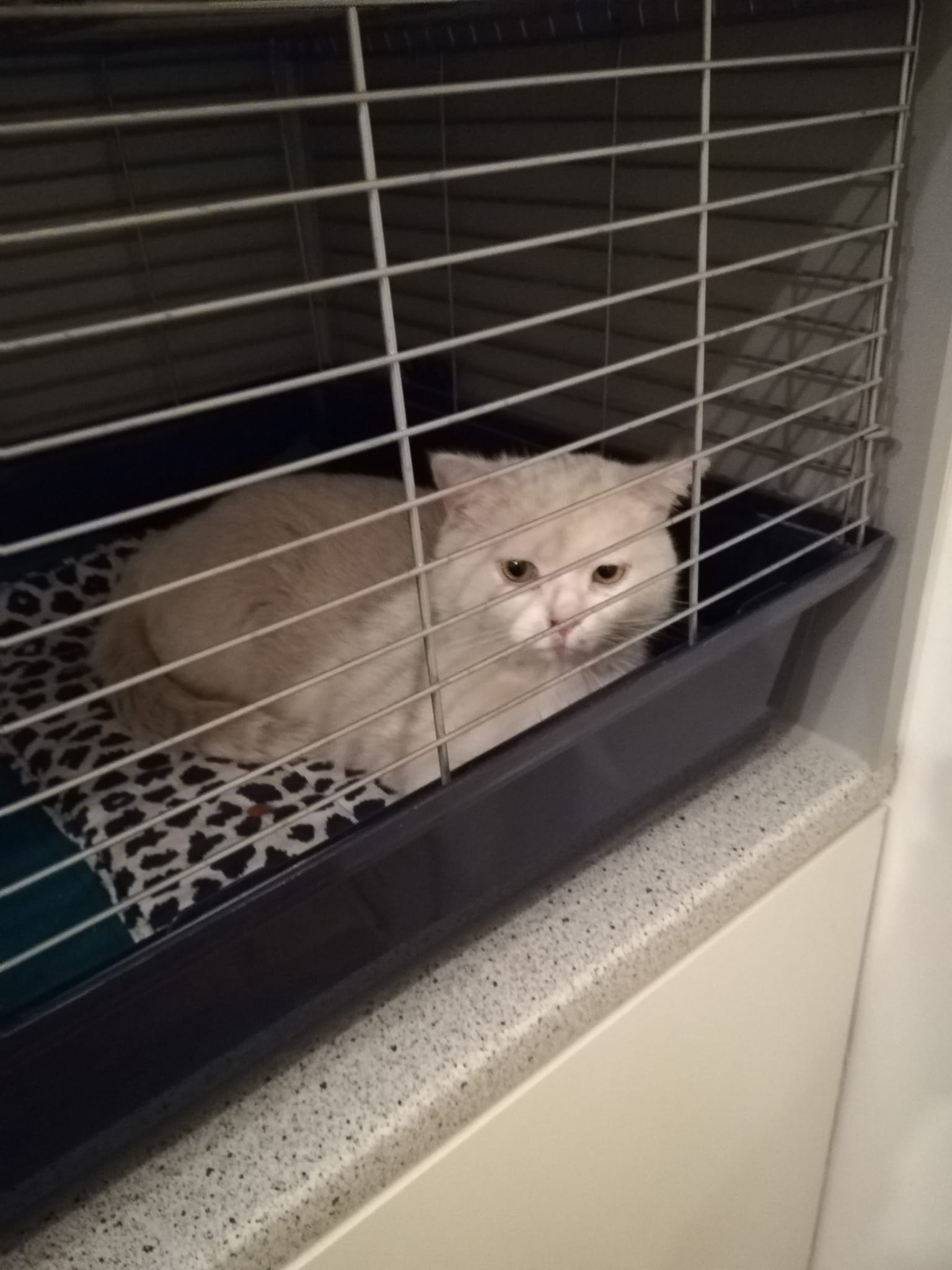 Haltersuche in Datteln