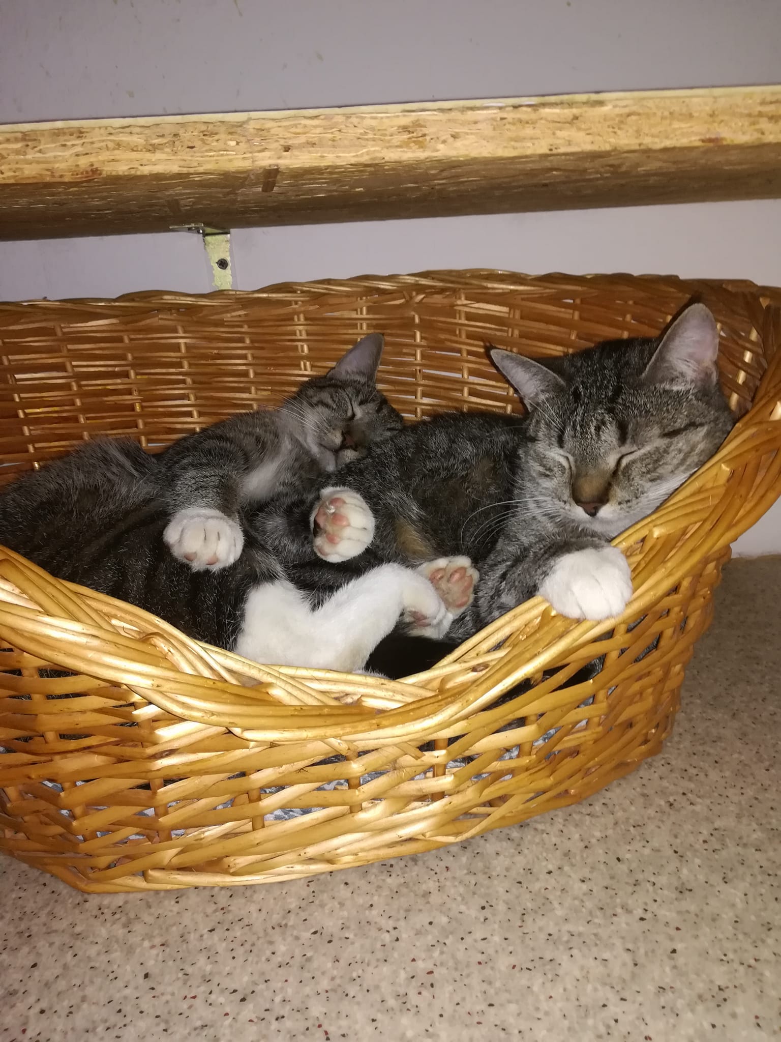 Leni und Lara bedanken sich