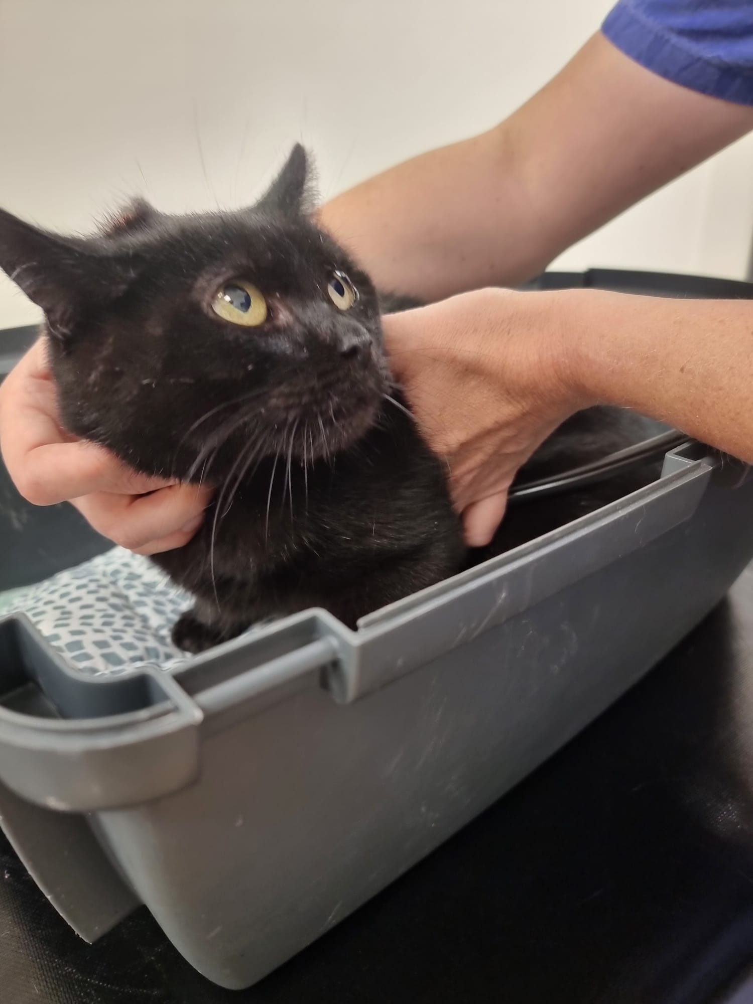 Unser liebes Clärchen macht uns Sorgen