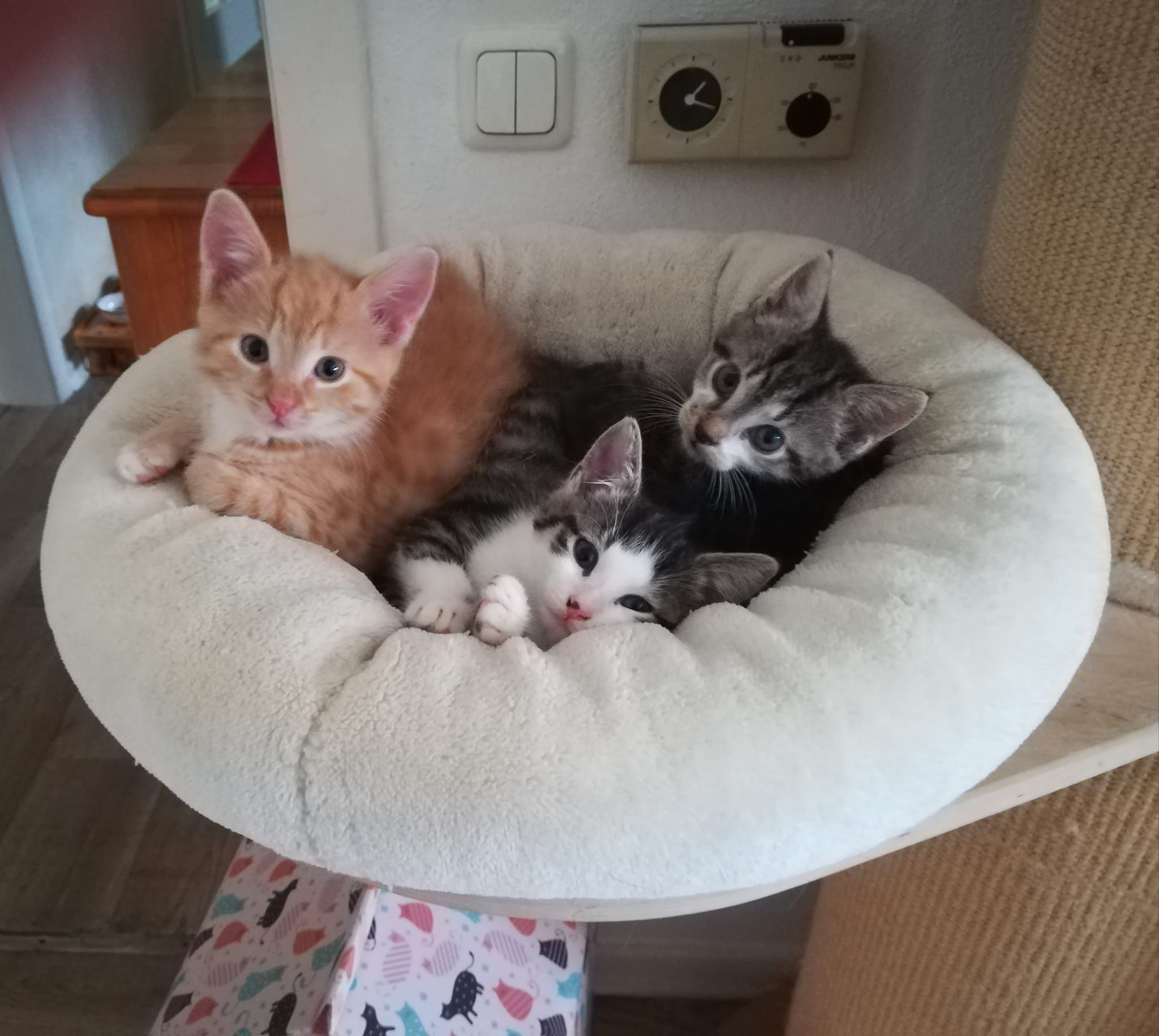 Danke an alle Unterstützer da draussen