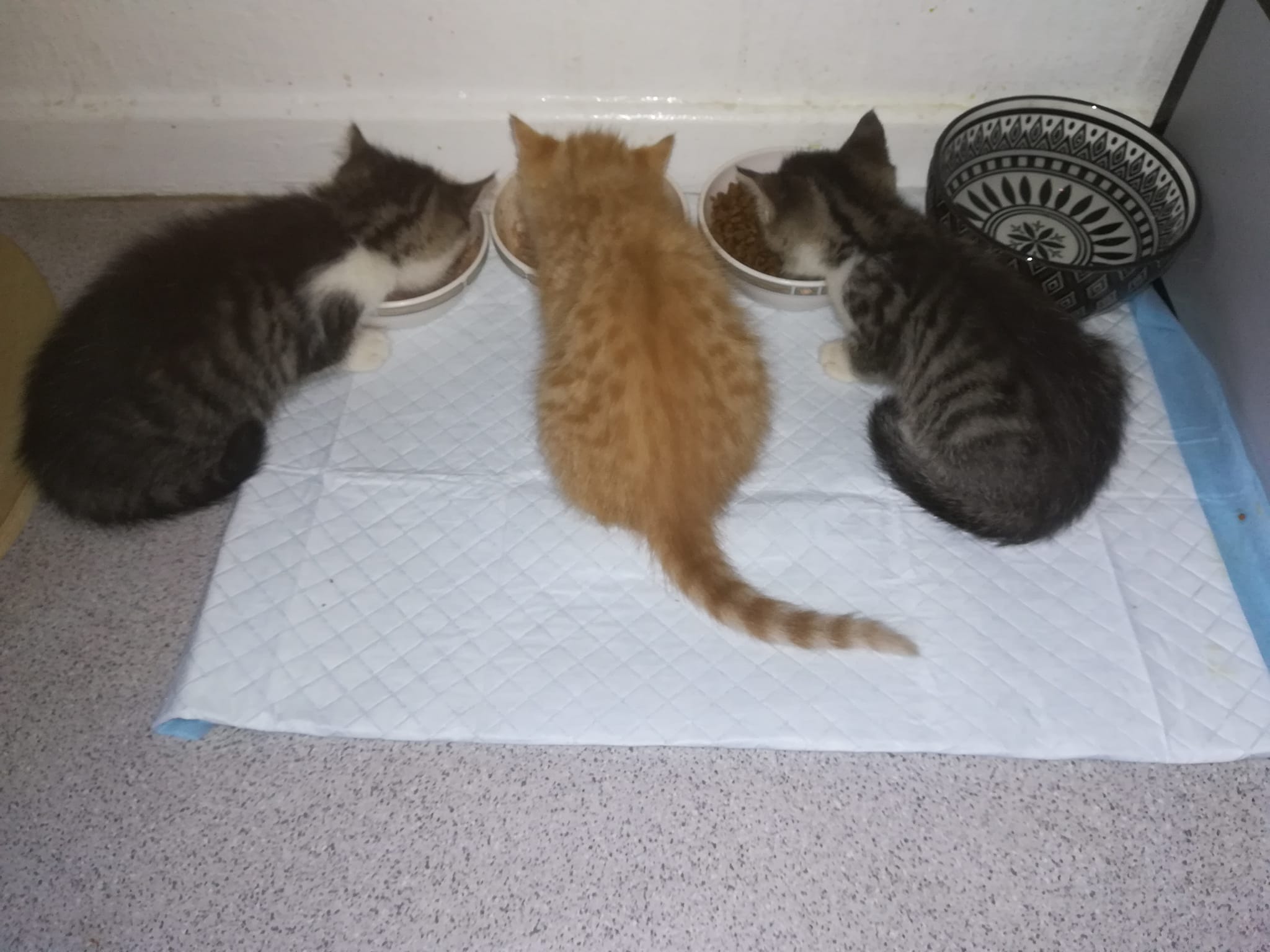 Einen schönen Feiertag