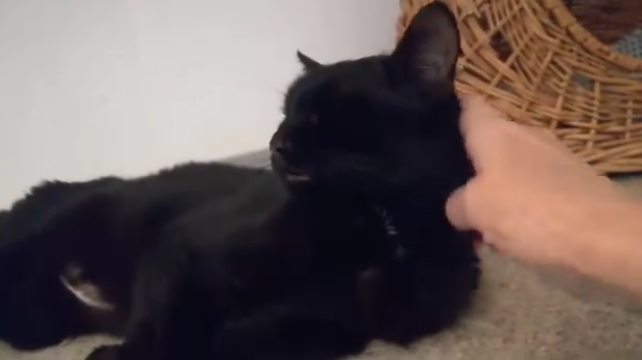 Notfall Sunny lässt grüßen