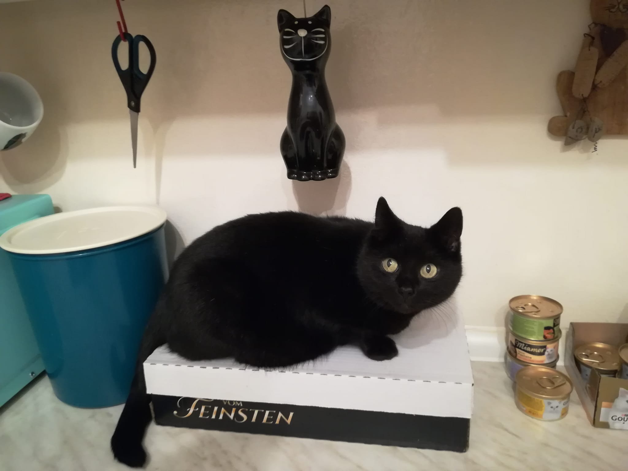 Clärchen wünscht Happy Halloween