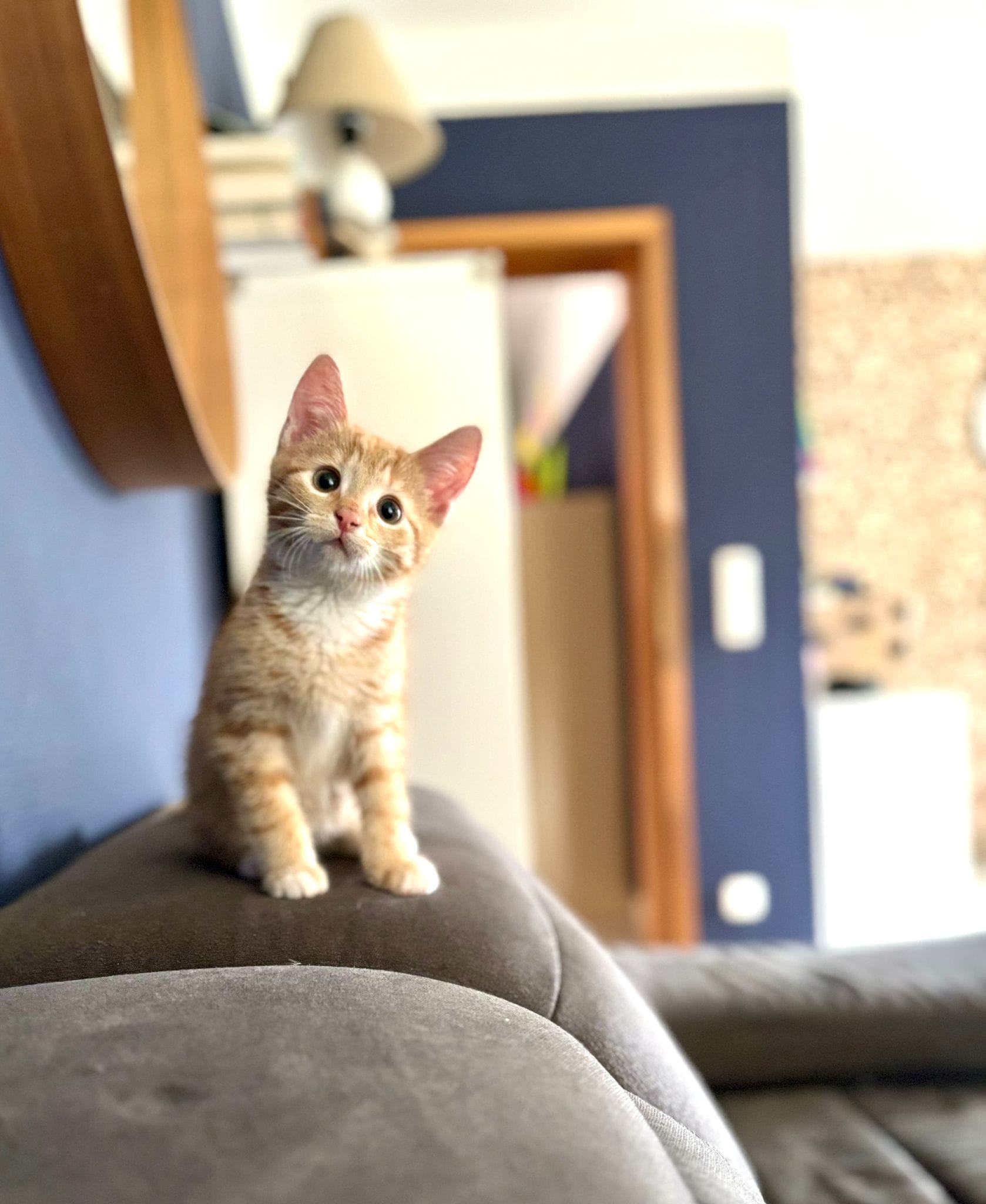 Auf, in neue Abenteuer