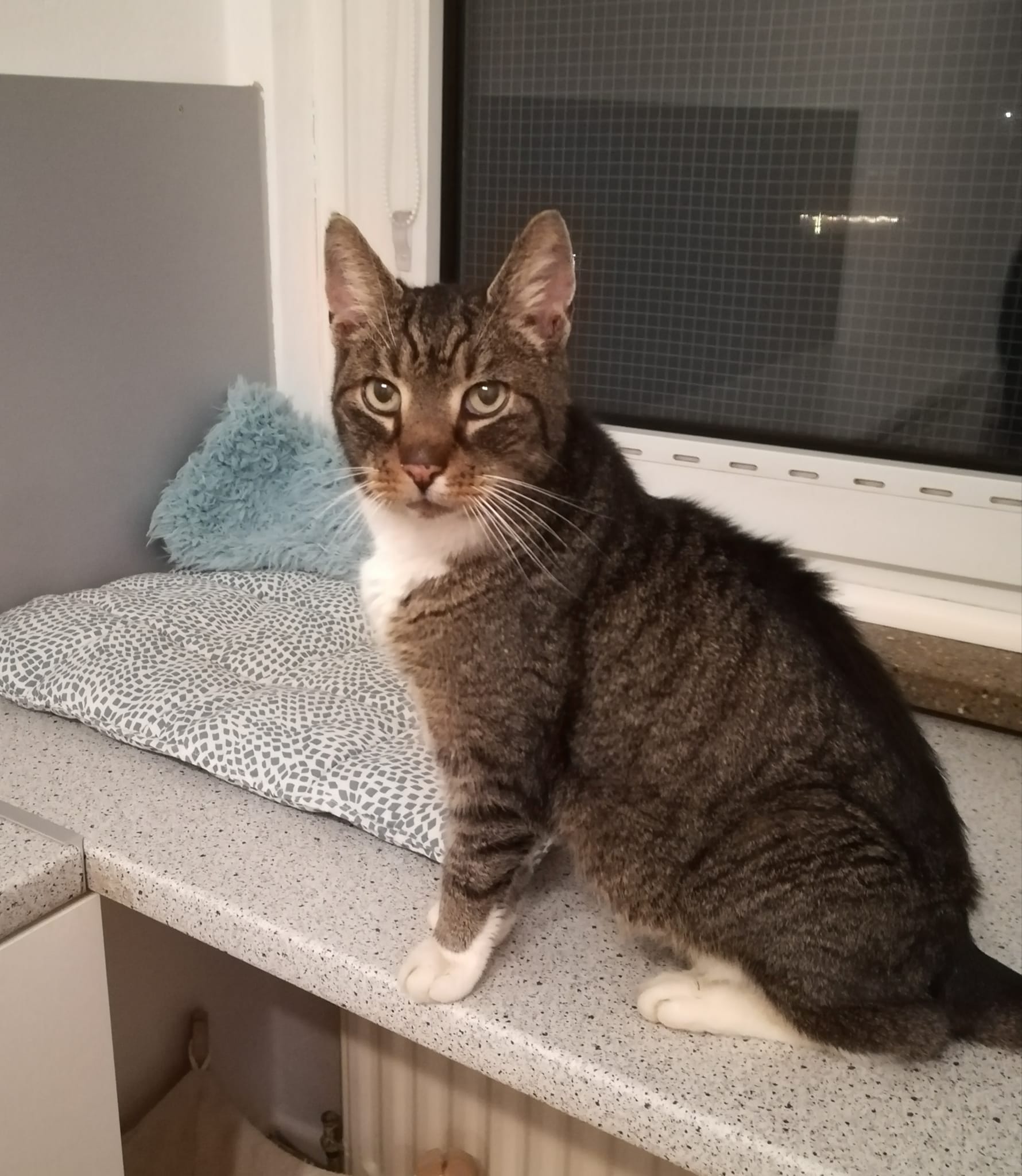 Update zu Sammy
