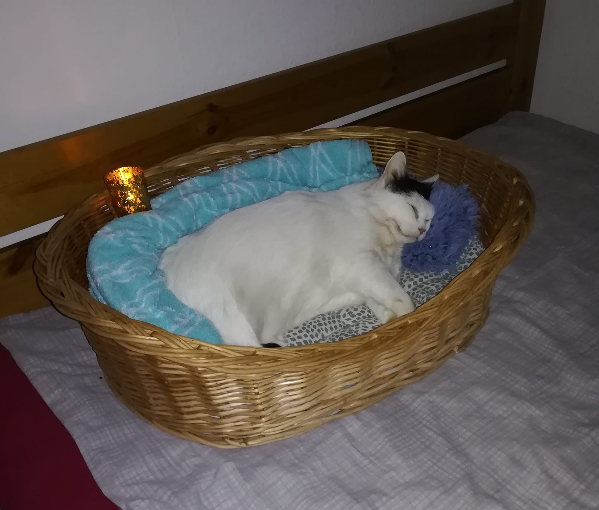 Mara ist gegangen