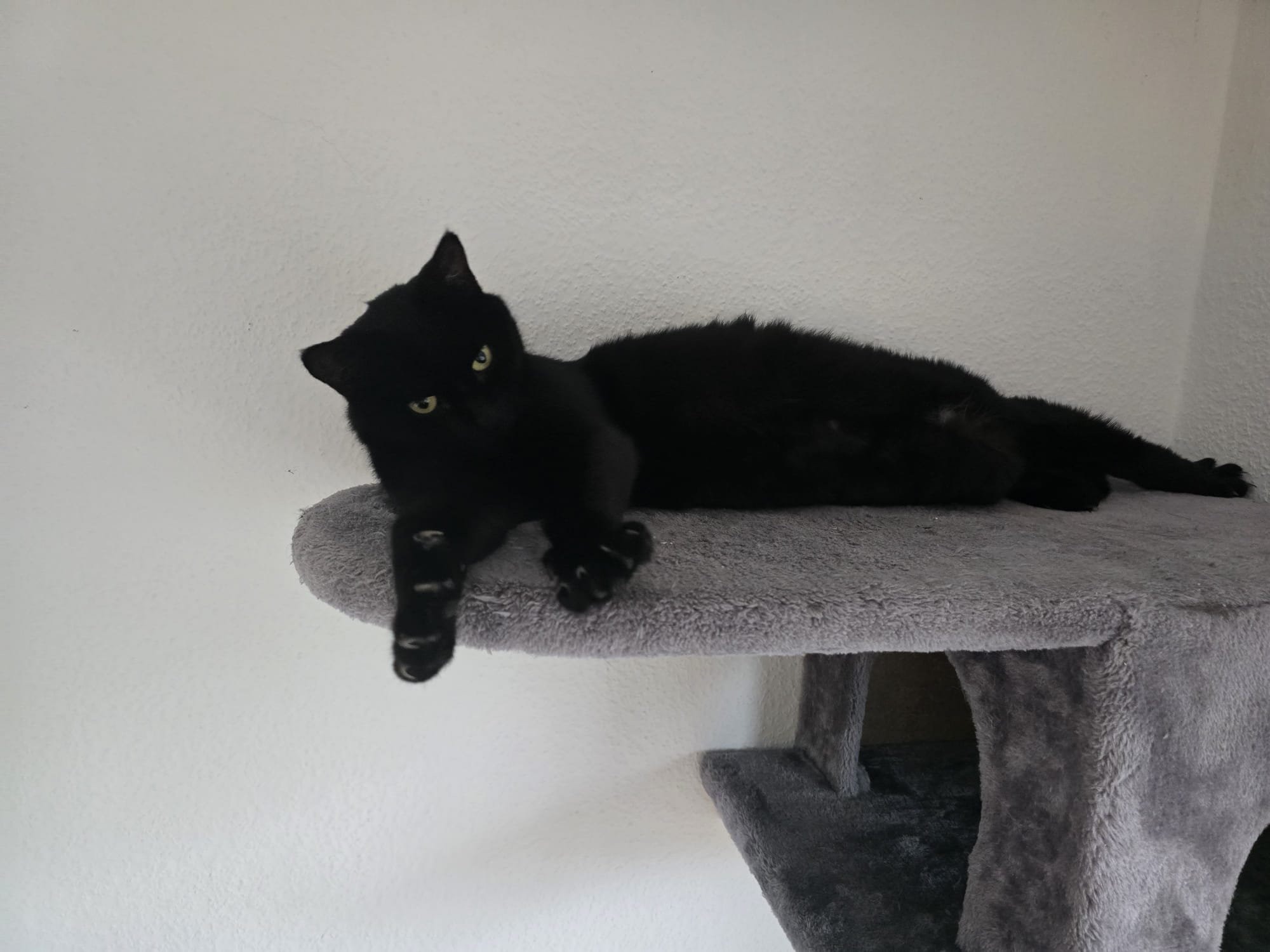 Sunny könnte auch Lucky heißen