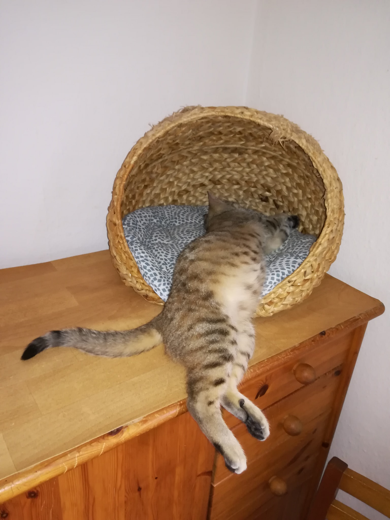 Gute Nacht Mascha