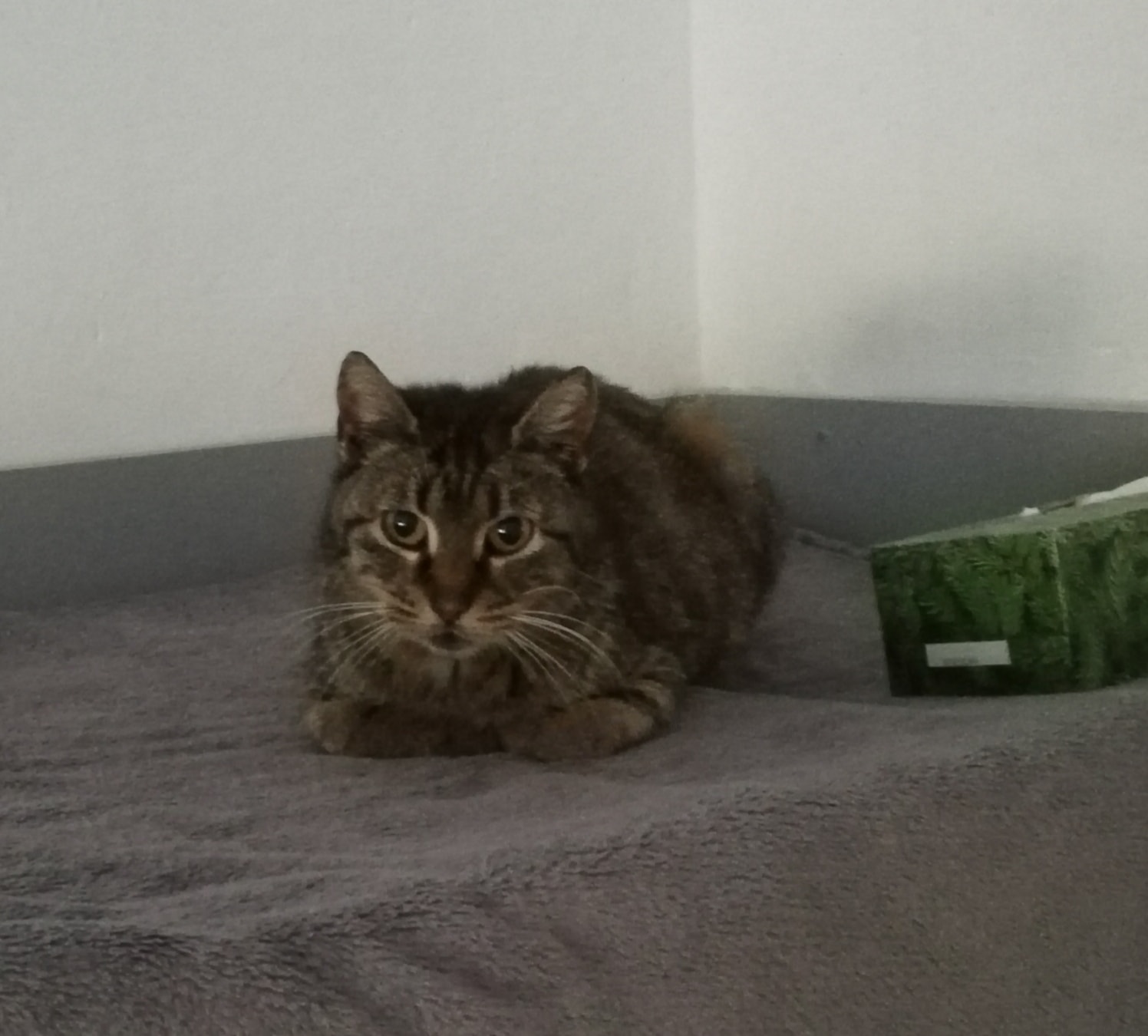 Willkommen Betty