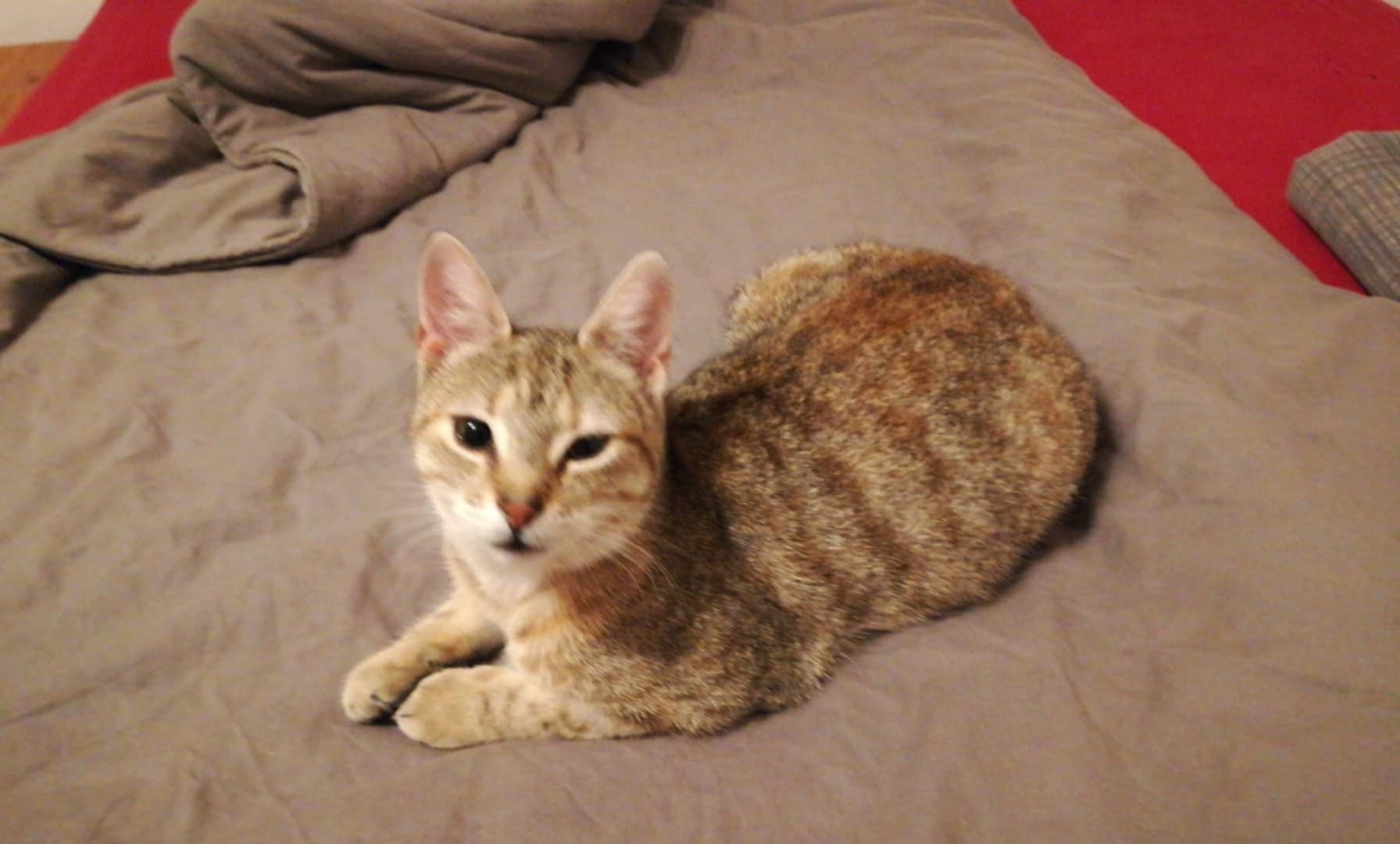 Mascha und Kater Carlo