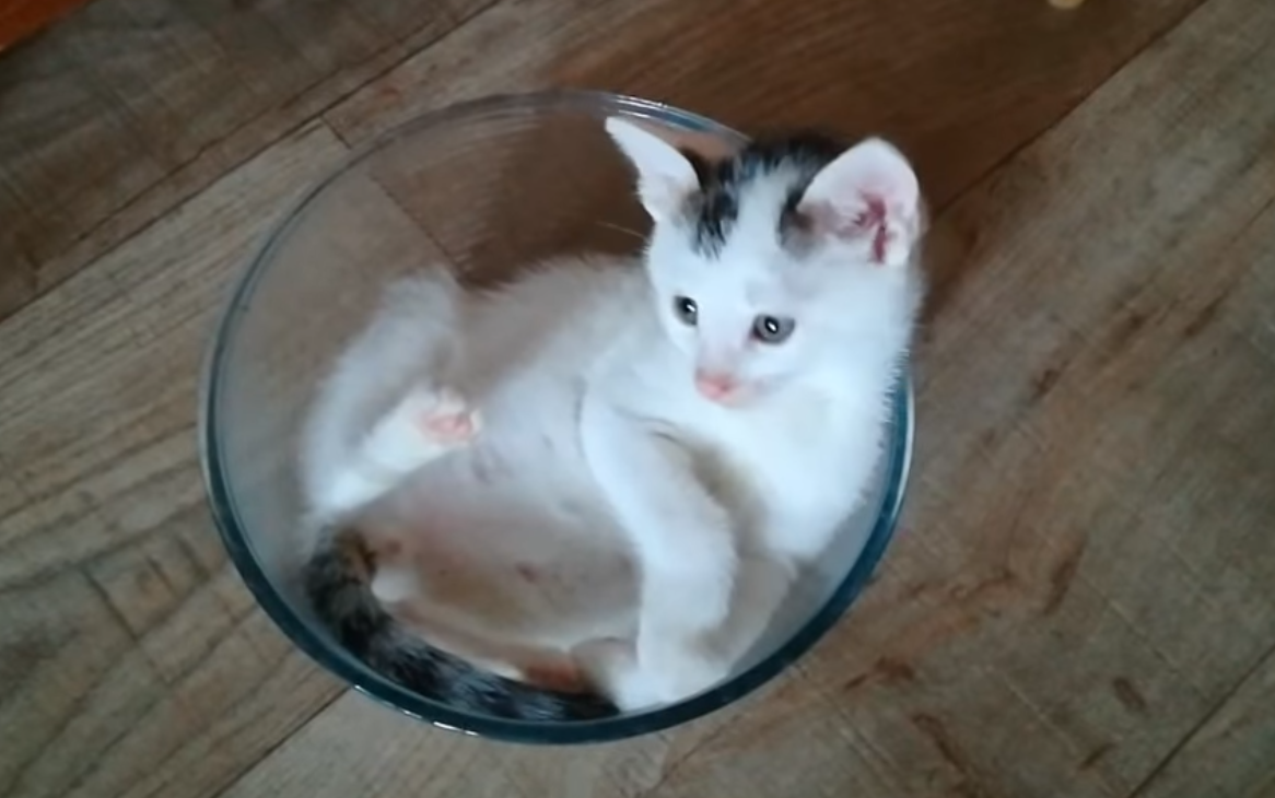 Der Drops in der Schüssel