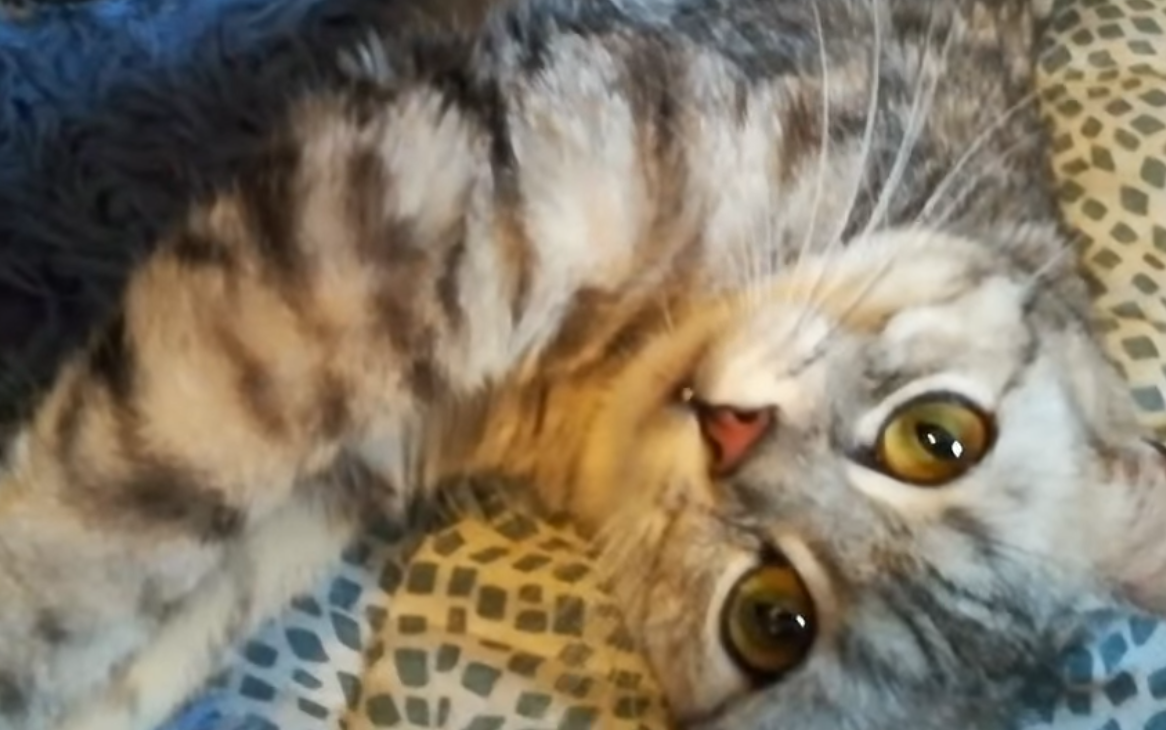 Abendbrot für Flora und Fenja