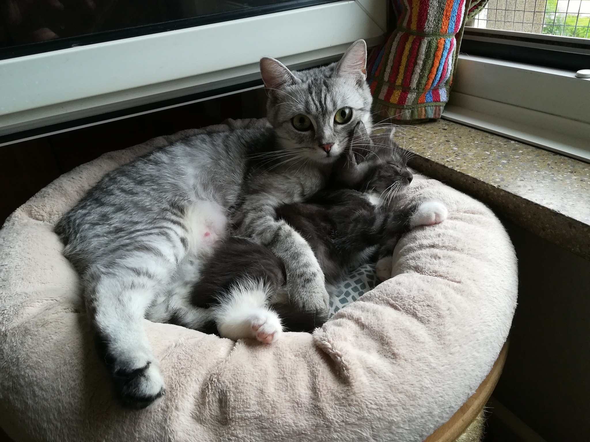 Mama Freya und Tochter Flora