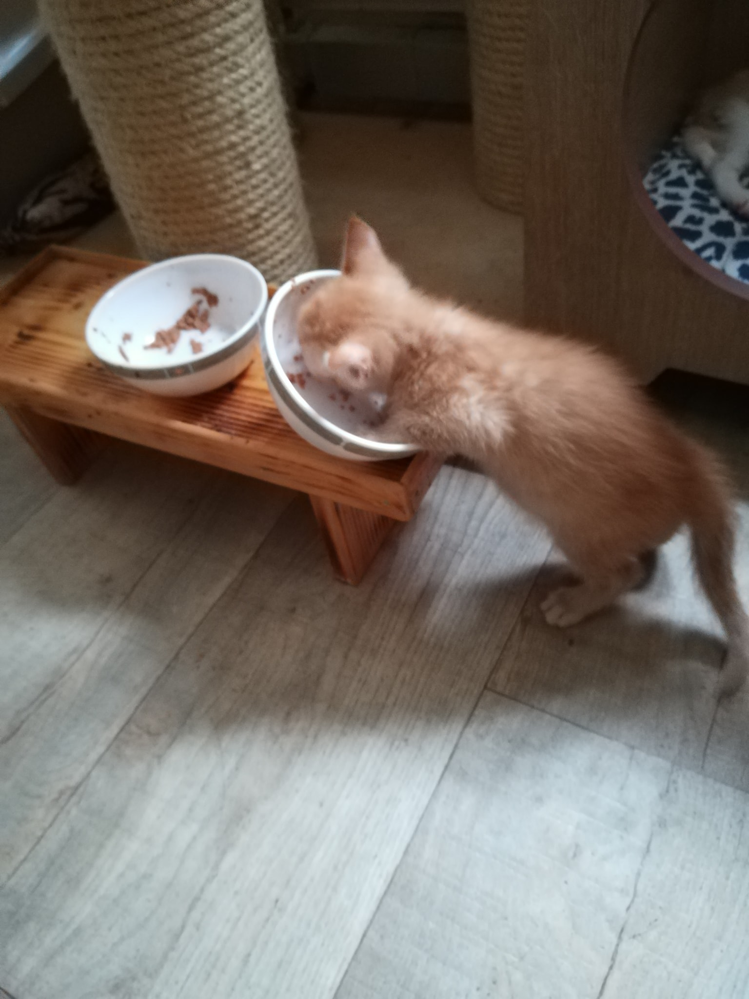 Ein Licht am Ende des Tunnels