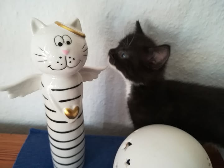 10 Jahre Miezen ohne Ende