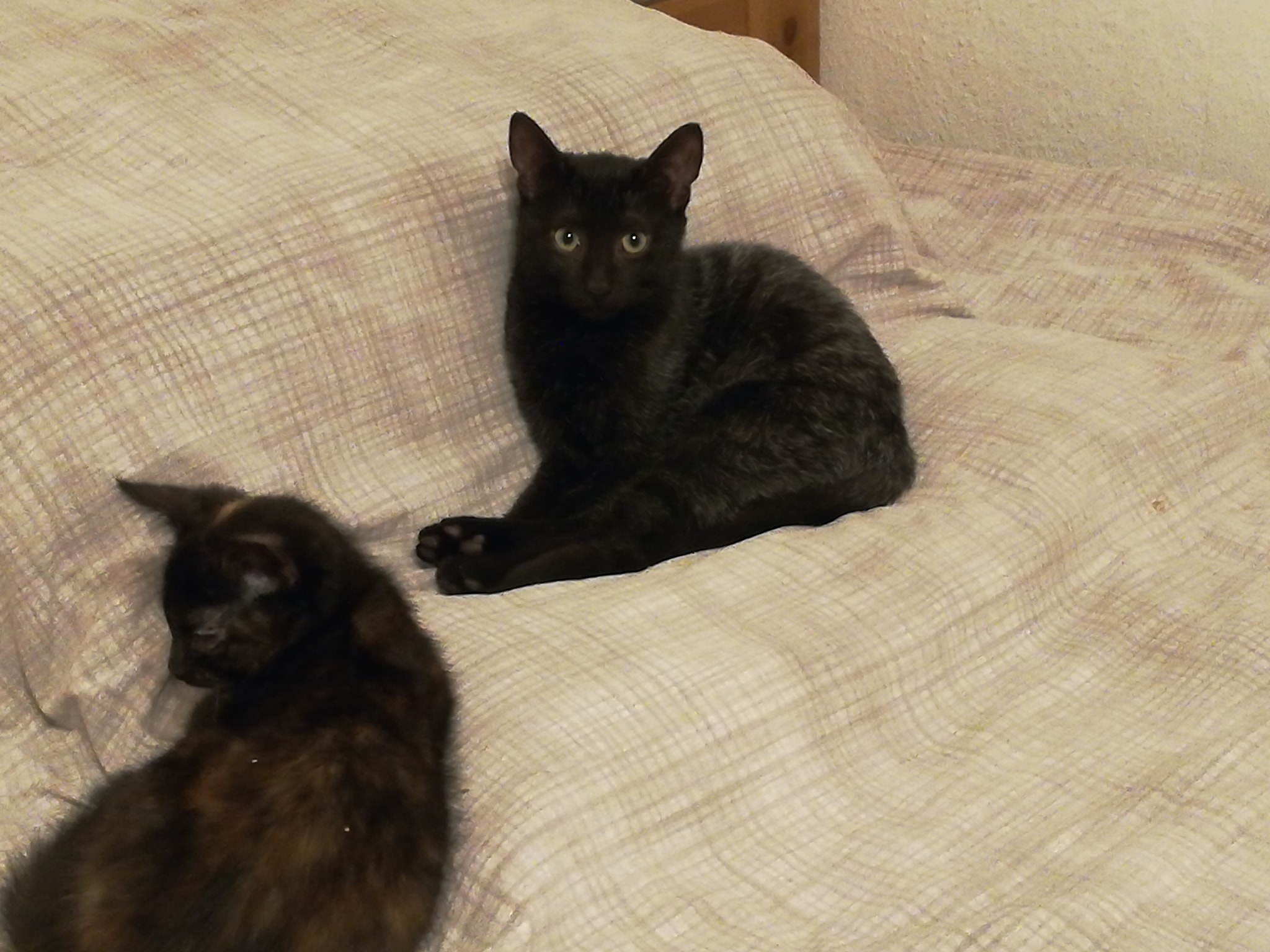 Zeit die Futterlager zu füllen