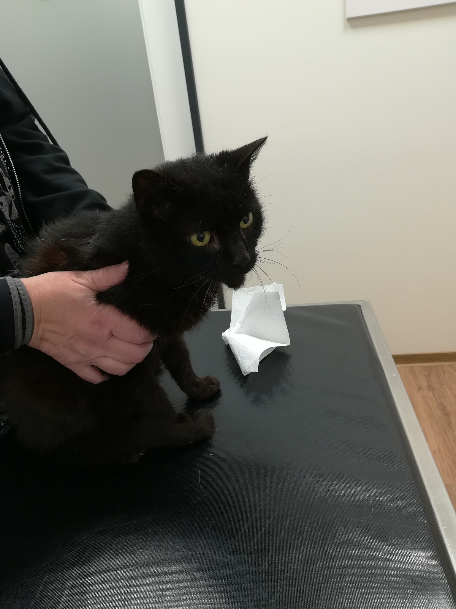 Hubsi vom Pech verfolgt