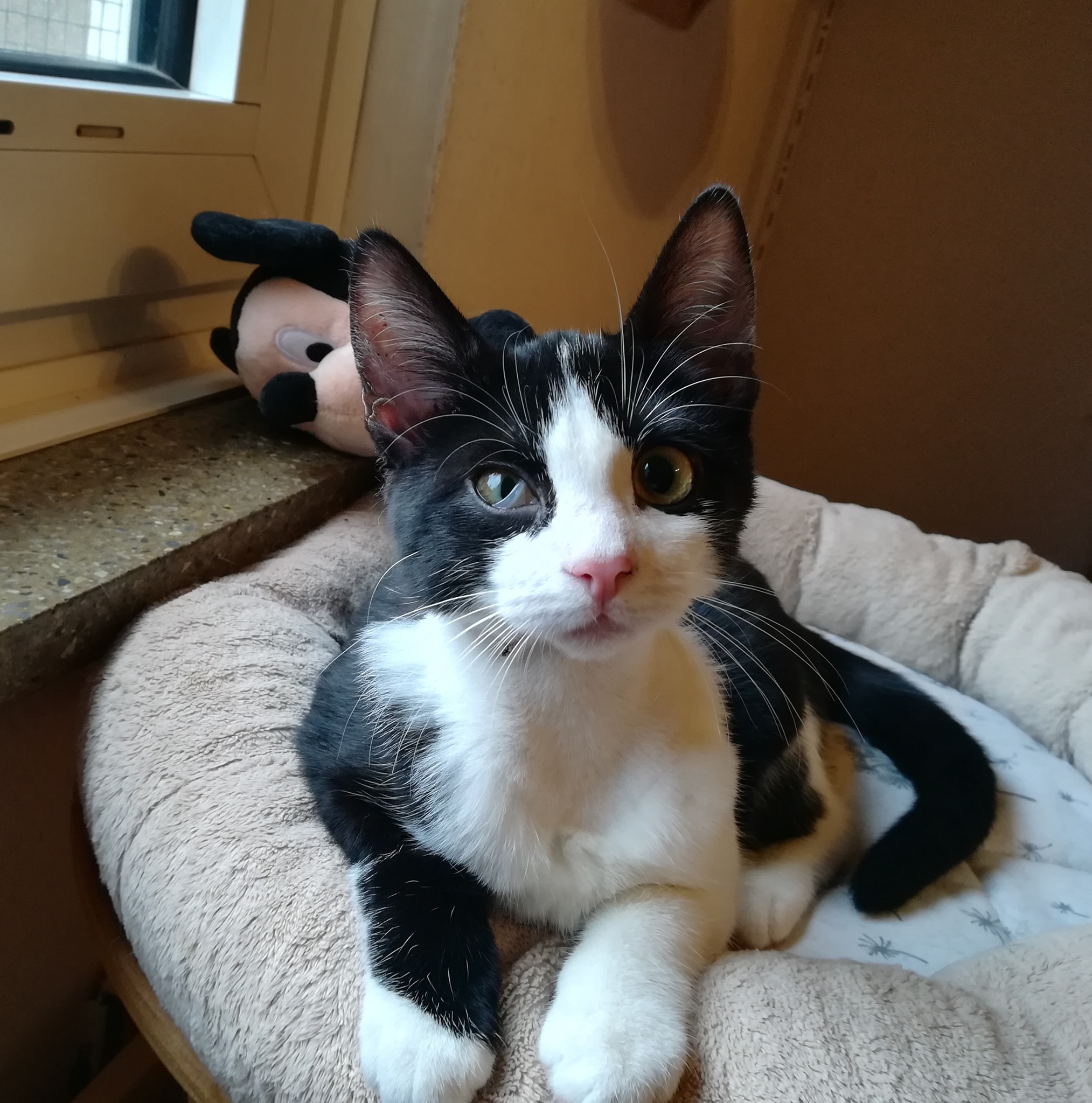 Wie geht’s Shanna?