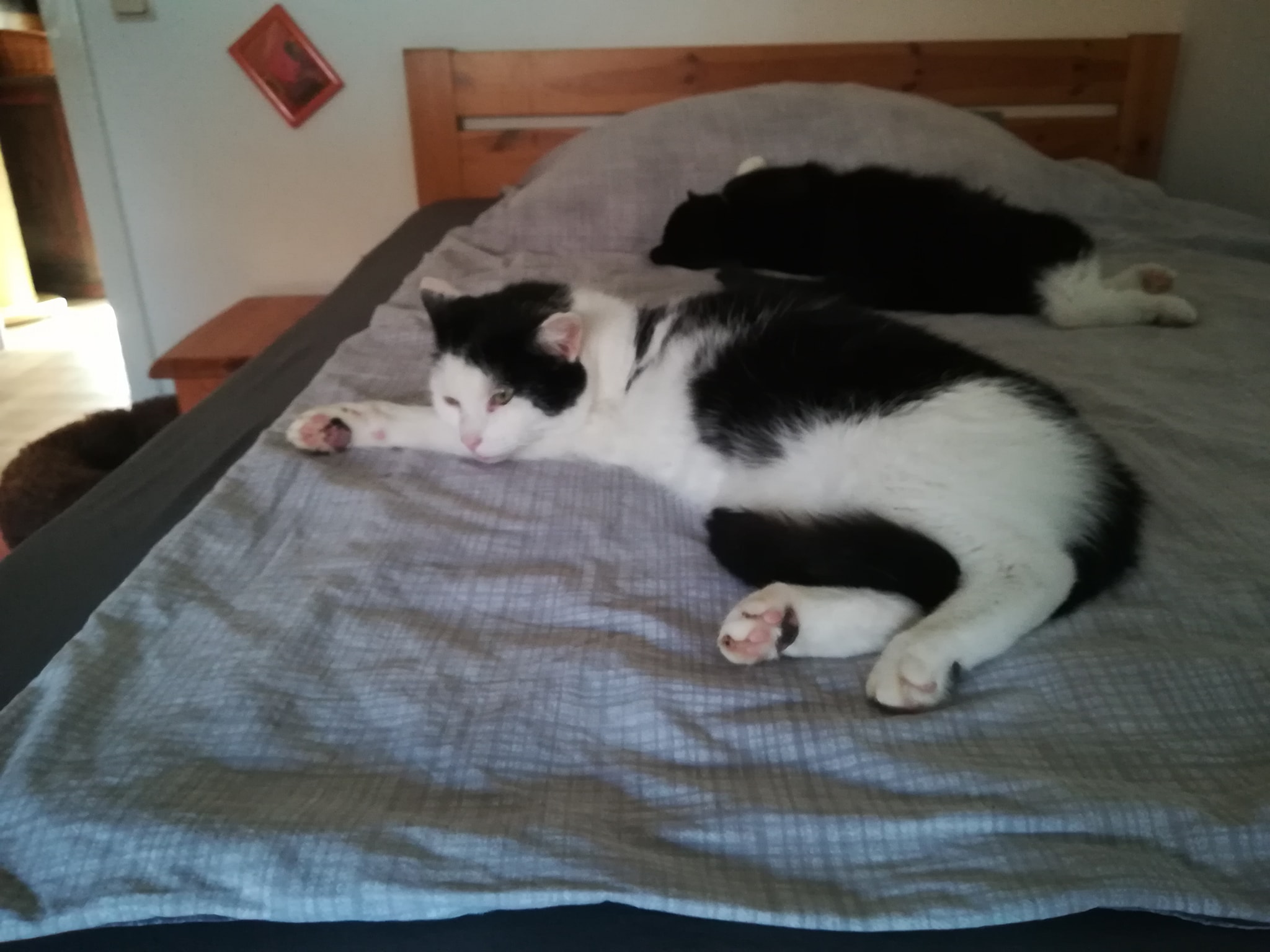 Medizinische Notfälle belasten das Konto