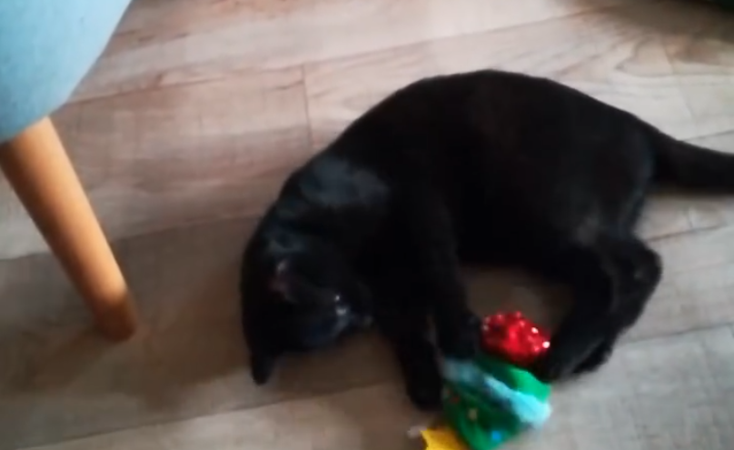 Zweiter Weihnachtstag