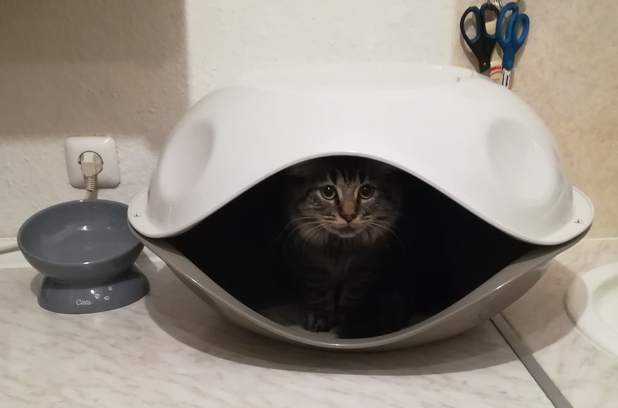 Danke, danke, danke an…