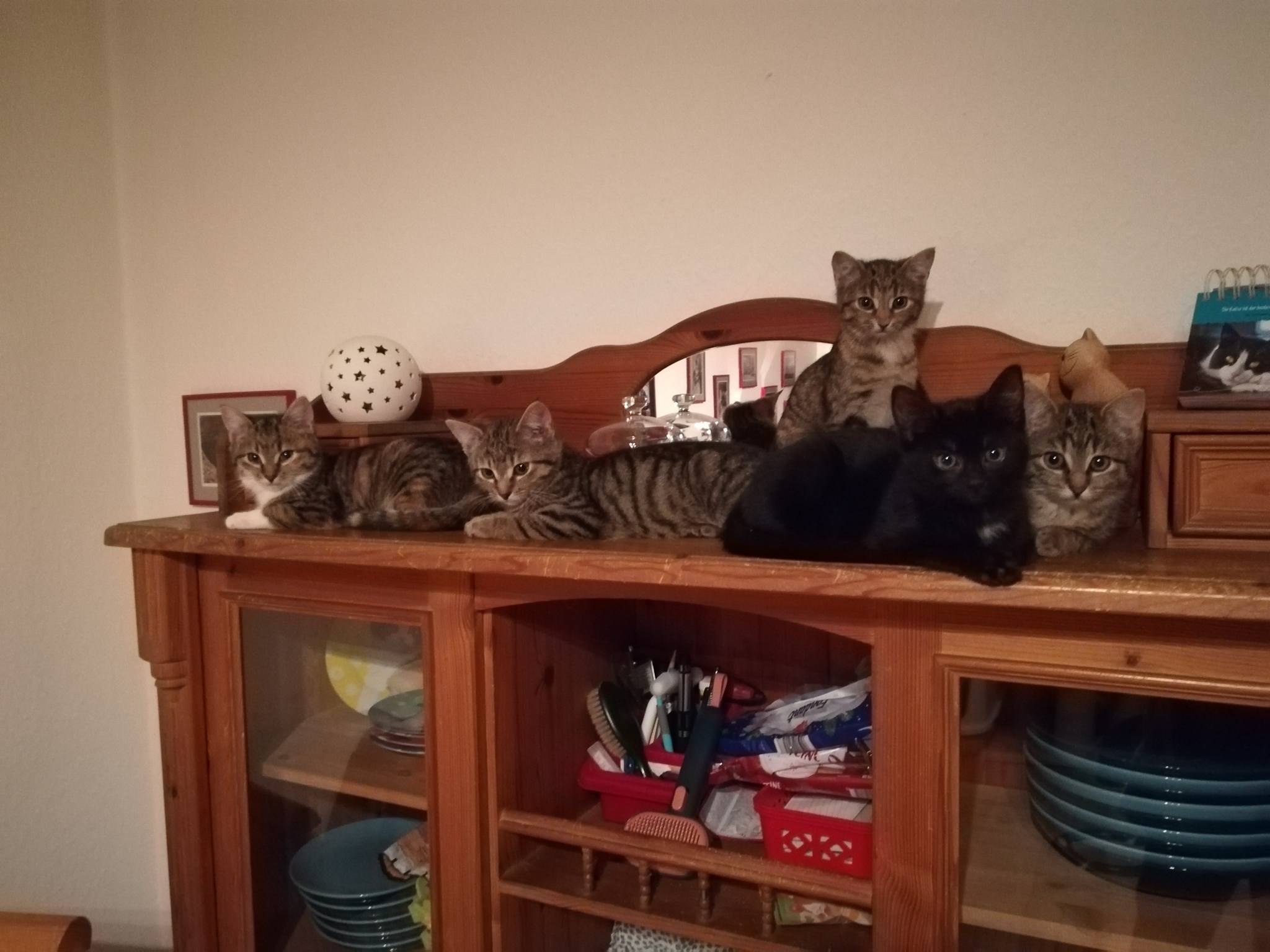 Danke für die Flauschdecken