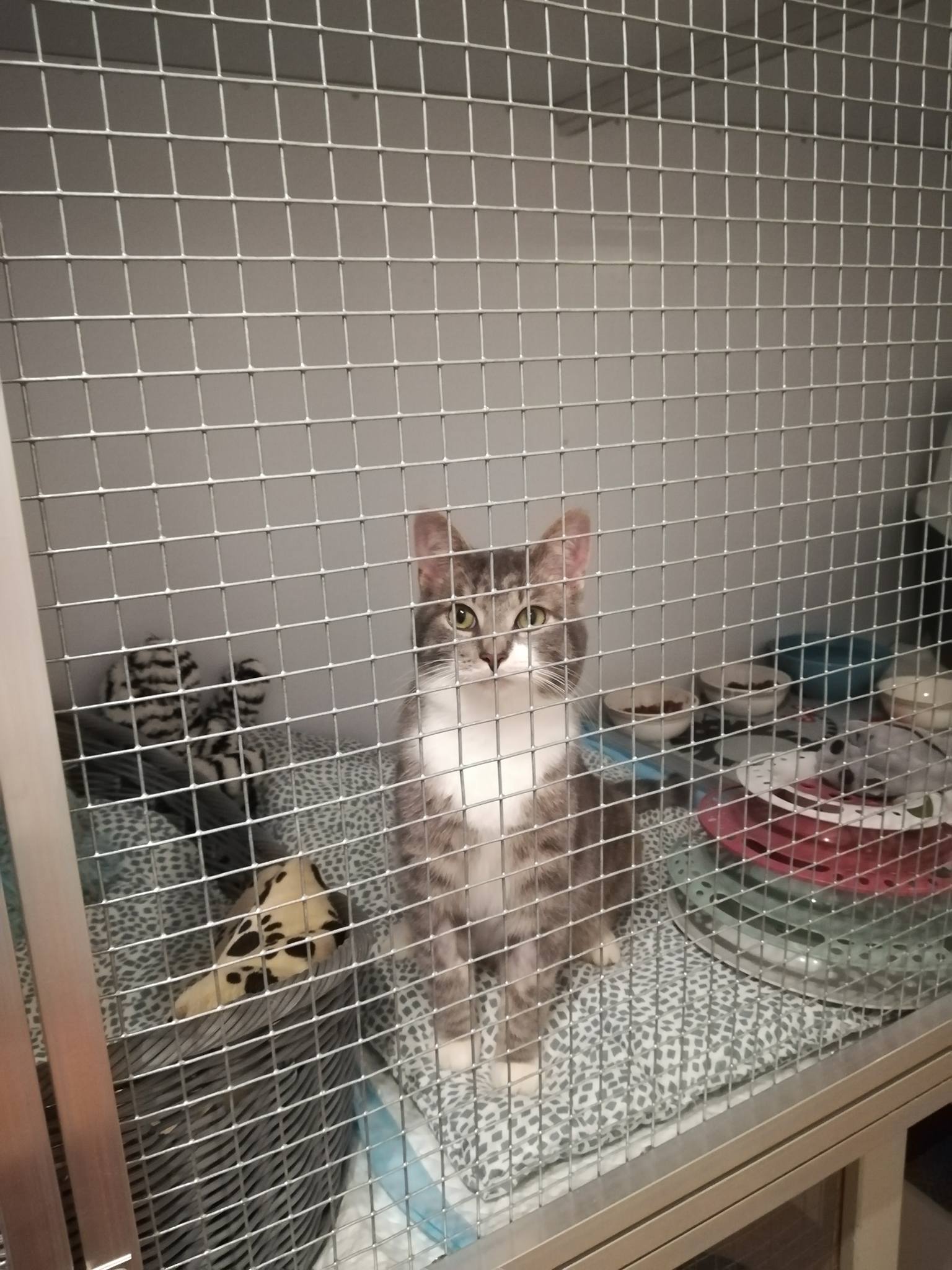 Sonntagsgrüße und Futterspende