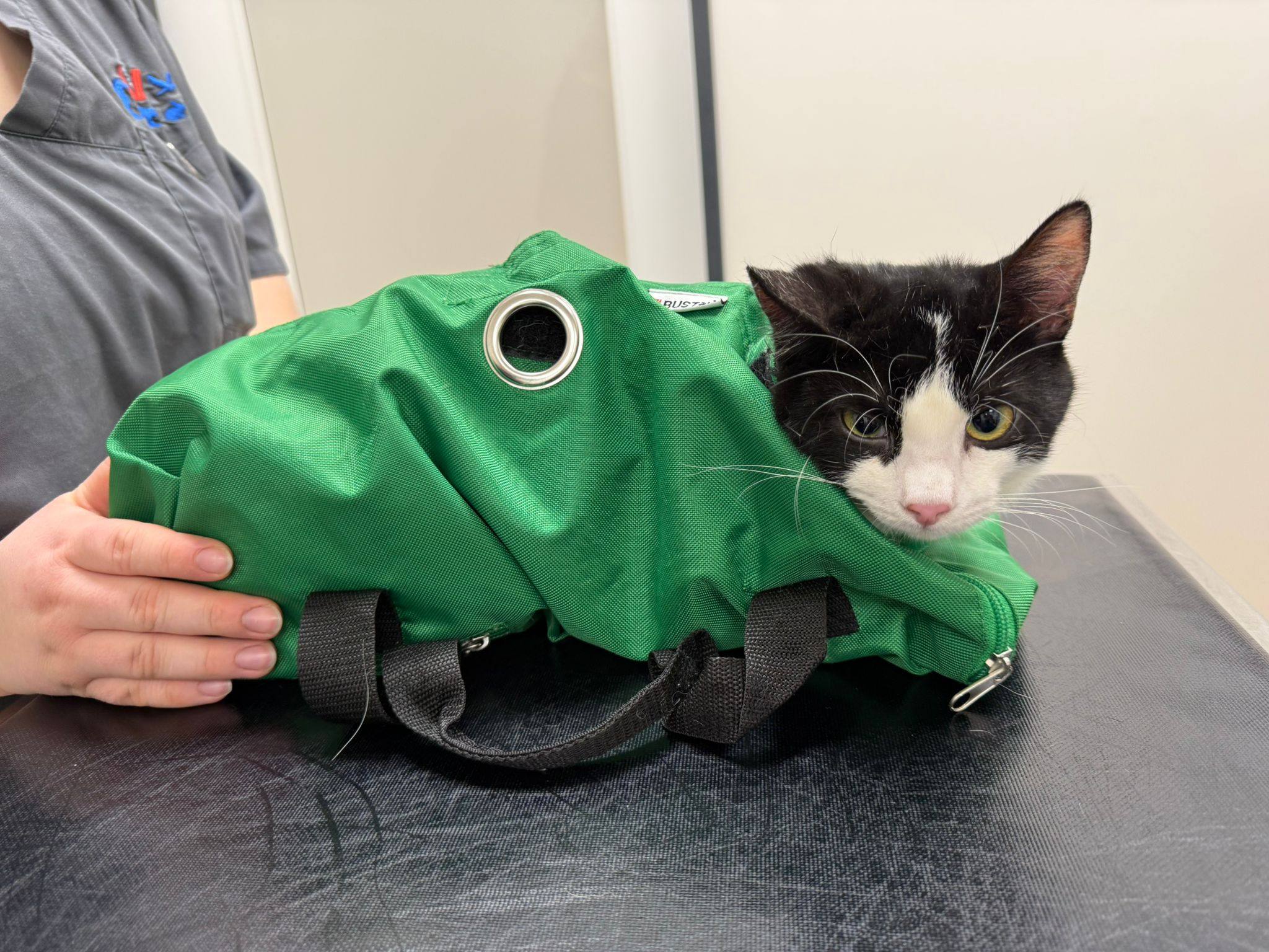 Spülungen für Shanna