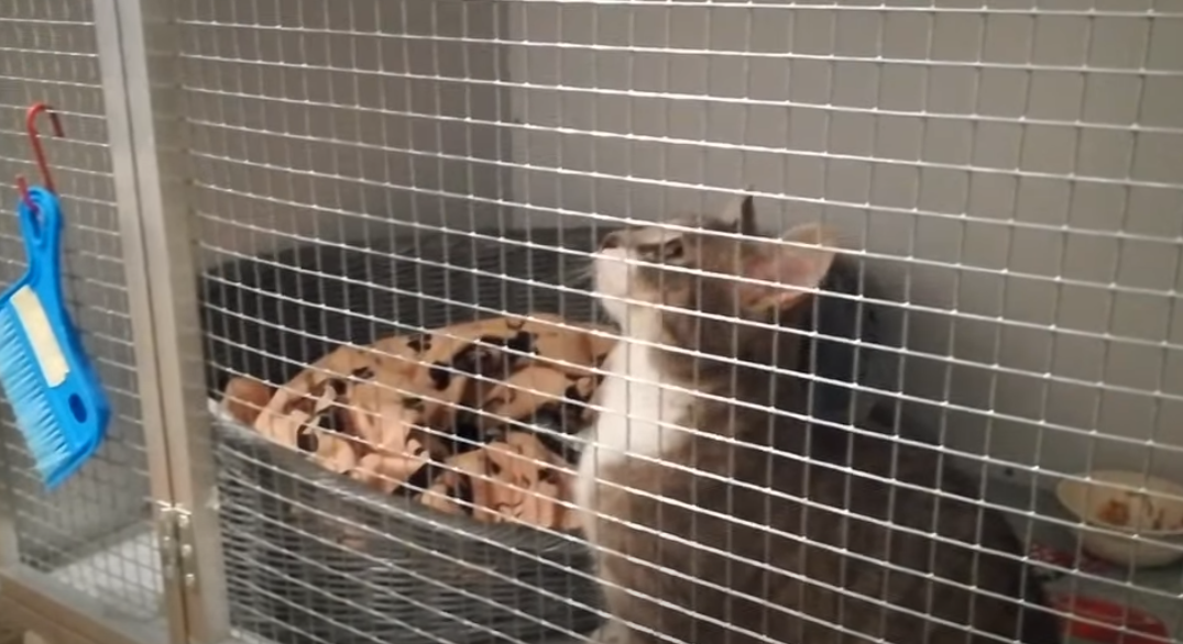 Paule hat den Stempel erhalten