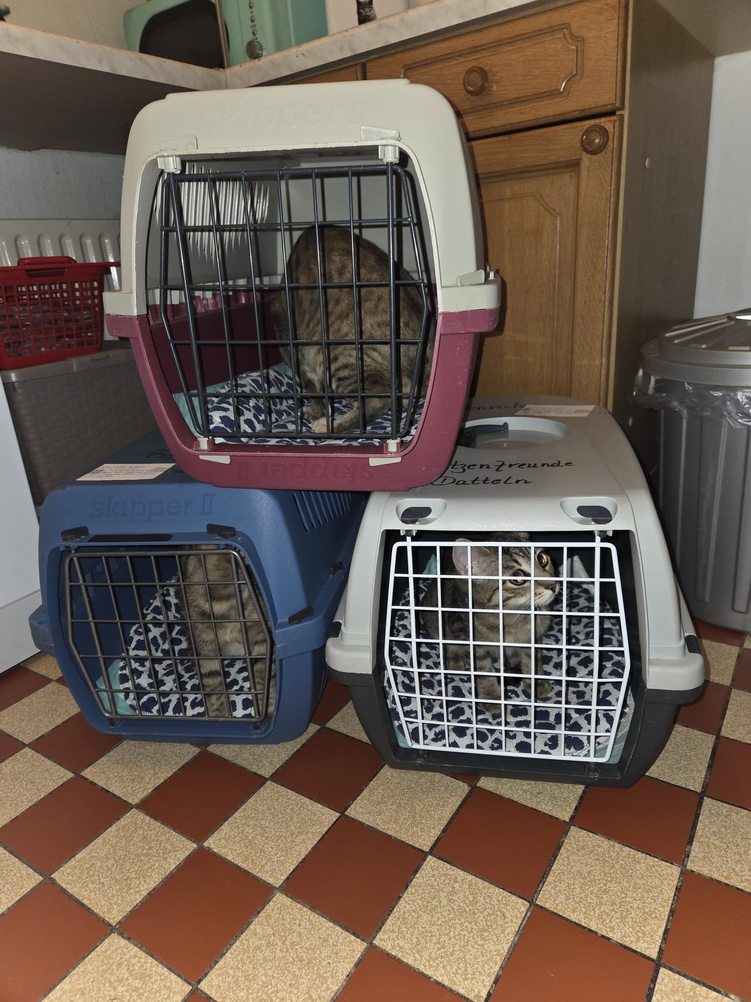 Transportboxen befüllt